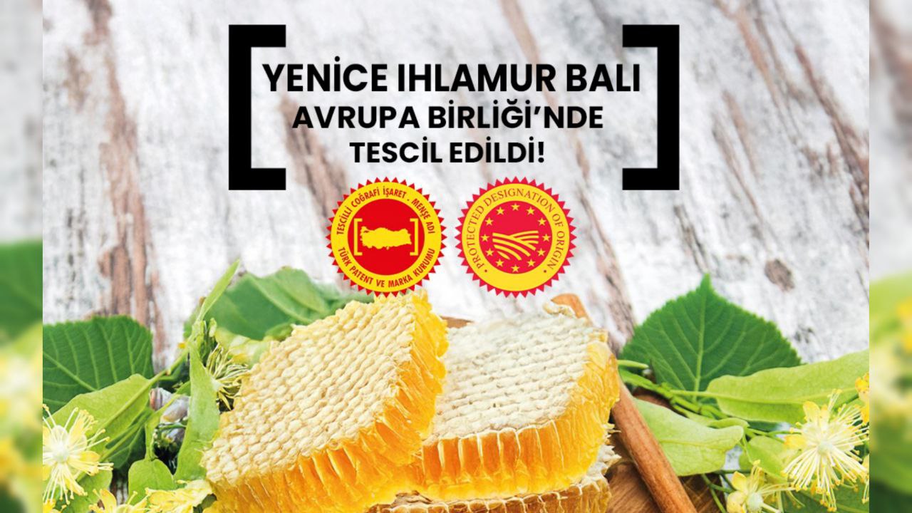 Yenice Ihlamur Balı AB'den Coğrafi İşaret Tescili Aldı
